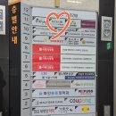 삼도메디칼 | 분당 판교 두피관리 2회차 재방문 케어 에코JR