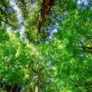 미사서울치과의원 이미지