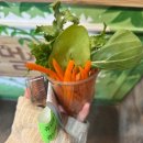 염소우리 | 대전 근교 실내데이트 추천 쥬니멀 동물원 내돈내산 n번째 방문후기