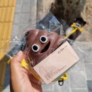 꽃단장하시개