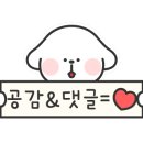 대단한탕후루경북대점