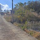 계동마을 이미지