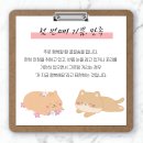 24시 대전동물의료센터 이미지