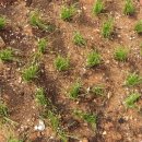 파주종묘농약사 이미지