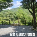 사과향기캠핑장 | 경남 아이랑 가기 좋은 계곡 캠핑장 밀양 사과향기 캠핑장