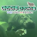 ▣ 순천:-봄이 오는 길목에서 "금둔사" & 광양:-매화마을/ 사천8경 이미지