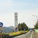 옥천IC(서울) | 금강휴게소 서울 부산 양방향 고속도로 맛집 고망고 망고주스 & 통감자 바삭바삭어포