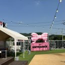 실내 이용도 가능한 남양주 애견 카페 미앤마이독스 후기