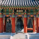 청와삼대 이미지