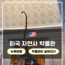 3월 시민을 위한 무료영화 | [미국] 자연사박물관 관람후기 | (박물관이살아있다 촬영지/예약사이트/할인방법/무료입장/주요작품 위치)