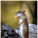 봉성공인중개사사무소 이미지