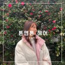 톤앤톤헤어
