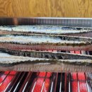 황금장어 이미지