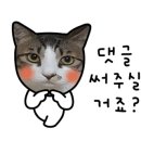 장미경양식 이미지