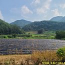 대사 마을회관 이미지