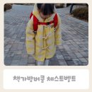 [초3~4] 알면 알수록 재미있는 역사 이야기 | 책가방버클 체스트벨트 초등책가방 흘러내림 방지! 내돈내산