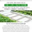 종로사약국 이미지