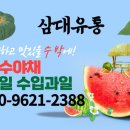 클로버베이커리카페