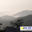 곰소넝쿨젓갈