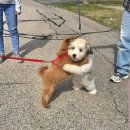 (주)스퀘어짐 당산점 이미지