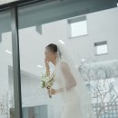 619 | 웨딩 스냅 촬영 작가 619_snap 및 황정아 드레스 이모님 강력추천(협찬x, 내돈내산)