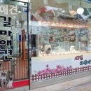 갈마애견 이미지