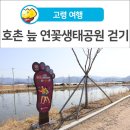 호촌늪 이미지