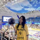 인천광역시 계양경기장 계양체육관주경기장 | <남자배구> KB손해보험 vs 대한한공 인천계양체육관 직관 후기 2026년 1월 31일 2025-2026 리그