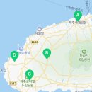 제주조우아조수 이미지