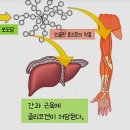 피트니스메카 이미지
