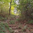 길로농장 이미지