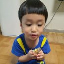 요리조리찬 네이버블로그