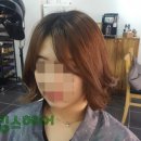 킹스헤어 이미지