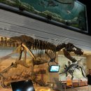 서대문자연사박물관 이미지