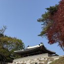 산성방문자센터 | 남한산성 초보 코스 : 1코스 산책로 맛집 주차장 추천