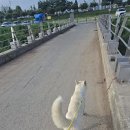 건이