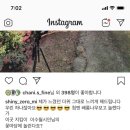 김밥과스파게티 이미지
