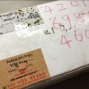 마실디 이미지