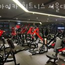 자마이카휘트니스 이미지