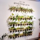 직장인을 위한 베이커리&디저트(야간) | 남양주화도월산카페 화수분베이커리 답내리점 명장베이커리 단팥빵맛집 명장케잌맛집
