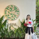 (주)불랙스톤리조트 | 베트남 나트랑마사지 제이스파 J SPA 내돈내산 당일예약 후기