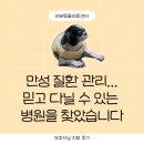 리본동물의료센터 후기