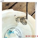 영하 6도에서 밭갈기(1박2일) 이미지