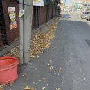 광동성반점 이미지