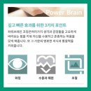 브레인파워코칭센터 네이버블로그