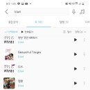 펭수 노래 스밍리스트만들기&스밍꿀팁 (재업) (지니) 이미지