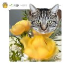 의정부여자중학교 | 2025 의정부여중 씨드스쿨 17기 활동후기 (+감사의 밤)