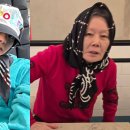 옥디 TV리포트