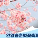 🌸2023 안양 충훈 벚꽃 축제🌸 이미지