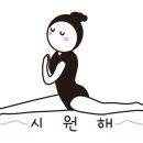 요가(오후반) 이미지